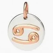 Dodo, charm zodiaco in argento ed oro rosa 9 k